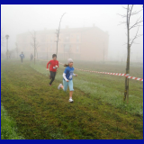 2011_2774.jpg