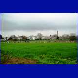 2010_01246.jpg